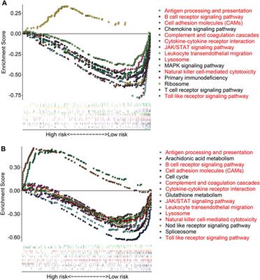 A transmembrane protein family gene signature for overall survival prediction in osteosarcoma